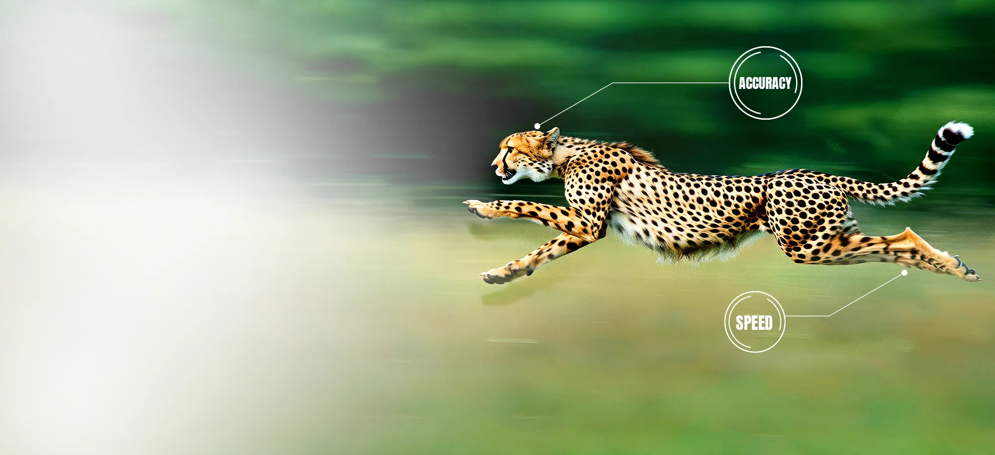 Business Transformation