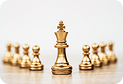 Chess Icon